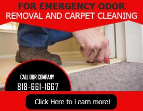 Our Services - Carpet Cleaning Reseda, CA